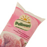 Pelissari - Bebida Láctea Morango Pelissari - Bebida Láctea Morango